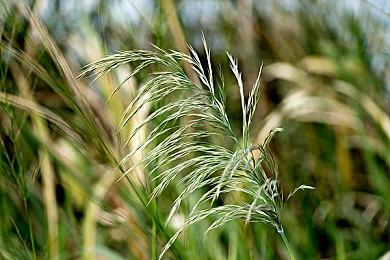 义体大逃杀《Off the Grid》火了 Twitch看量超《堡垒之夜》