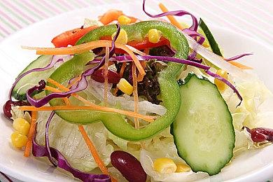 原版《生化危机4》助阵犬在重制版中或将遭遇噩运